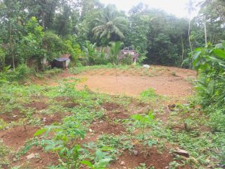 Land for sale in Ranni/Ranny (17 cent and 22 cent) 39 Cent in Total