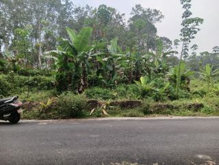 2.5 acres Land near upcoming Sabarimala Airport in Manimala