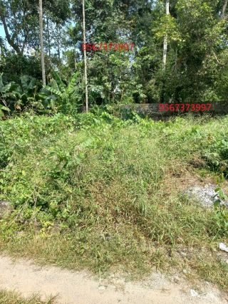 5.75 cents for sale near icloud villas murukkumpuzha