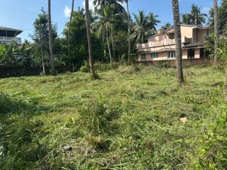 Residential Land-10.5 cent for sale in kuttanellur , Thrissur.