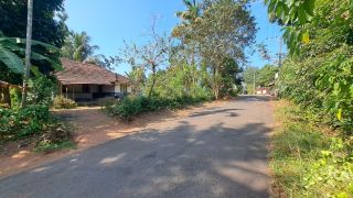 20.5 Cent Residential Land Near Holy Cross Church