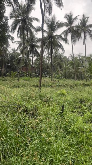 1.5 acre, 100m from highway, 3km from Malappuram town