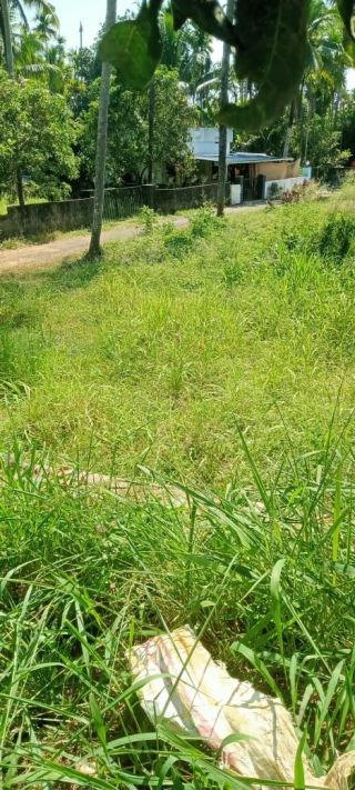 10 Cents Plot in Meloor, Chalakudy for immediate sale