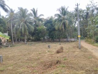 20 Cent Land For Sale | Location: Pokottumpadam - Chulliyode Road