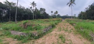Land for Sale near technopark phase 4 Thiruvananthapuram - 300 Cent Plot