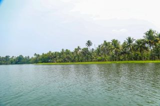 4 Acre agricultural land for sale in vattapotta, Murinjapuzha, chempu, Vaikom