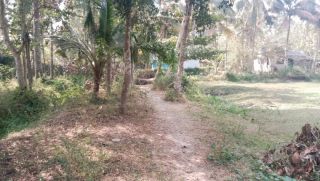 60 Cent Residential Land for Sale, Ambalapuzha, Alappuzha