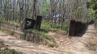 ഒരു ഏക്കർ അഞ്ചു സെന്റ്‌. പ്രേതീക്ഷക്കുന്ന വില.90000/- സെന്റ്