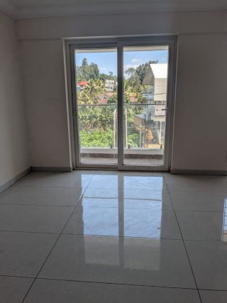 Confident Blueberry Kottayam