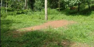 LAND FOR SALE IN PALAYAMKUNN