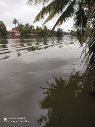 Riverfront Property with Renovated House – 60 Cents – Nedumudy, Kuttanadu