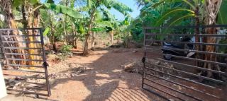Residential land- 8.5 cent for sale near Vimala college, cheroor, Thrissur.