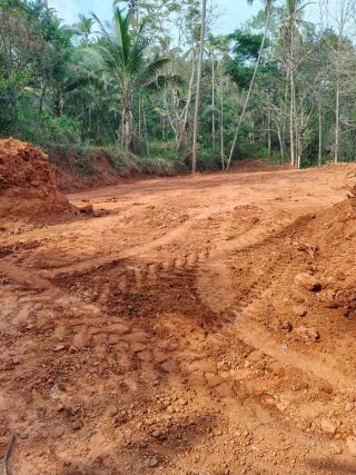 30 cent plot sale near kanal mukk eravattur