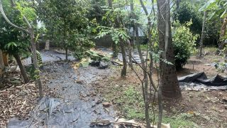 Prime residential land available for sale in Kuttanellur, Near Hilite Mall, Thrissur.