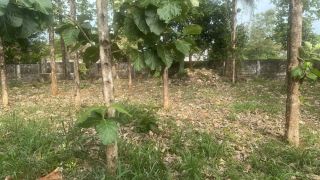 Residential Land-18 cents for sale in Nadathara, Thrissur.