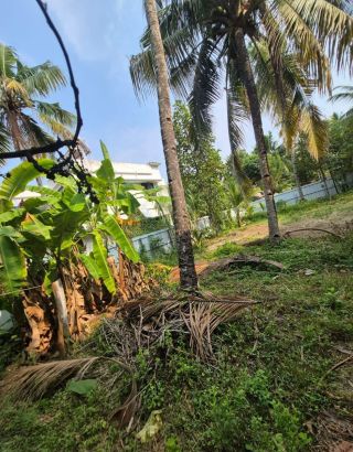 5 Cent Rectangular Plot for Sale – Prime Location Near Sankaramangalam, Chavara