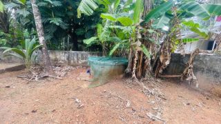 Residential Land-17 cent for sale in Chiyyaram , Near Gallie , Thrissur.