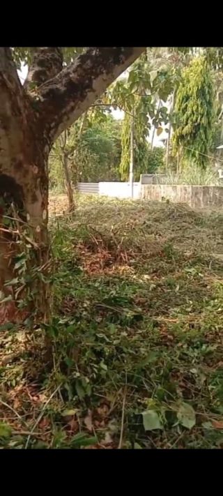 Residential land- 20 cents For sale in Madakkathara center , Thrissur.