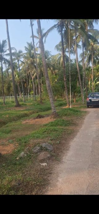 30 Cents Residential Plot for Sale Near Muthambi – Road Side Property - Direct Owner.