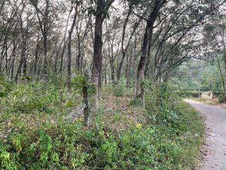 Corner Plot for Sale near Pallimukku, Kundara