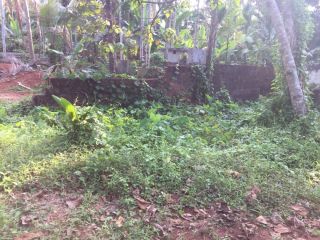 15 cent residential plot near to Kovoor Bazaar