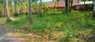 Residential Land-9 cent for Sale – Kuttanellur-padavarad, Thrissur