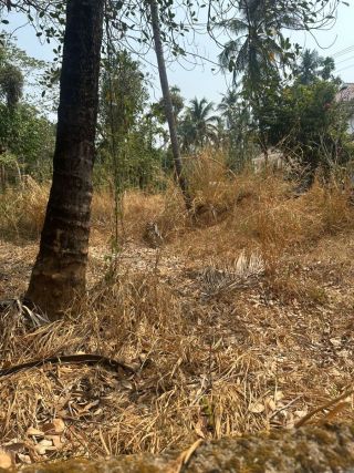Residential Land-12.5 cents for sale in Ramavarmapuram, near milma, Thrissur.