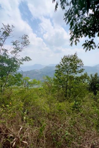 5 acre Hill Top Land for Sale – Kanjikuzhy, Idukki
