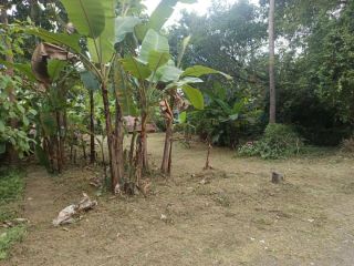 House plot well connected with public transport