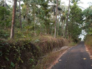 9 Acre Agricultural Land for Sale