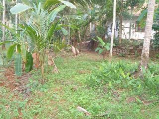 11.5 cent Plot for Sale in Balusseri, Kozhikode, Kerala