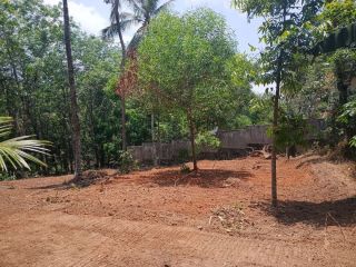6.5 cent residential plot for sale