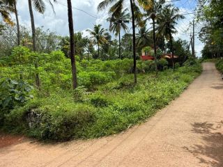 Residential plot for sale in Nallila