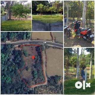 Chalavara Plots for sale if interested WhatsApp me