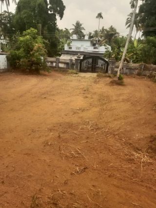 21 Cent Residential Plot with 900 SFT Guest House