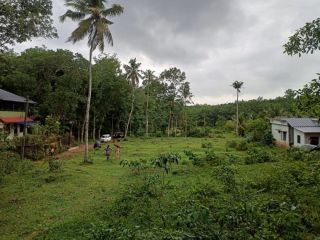 42 cents of levelled plot land included within a total of 67 cents