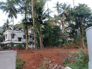 Rectangular Residential Plot in Pallikunnu, Kannur