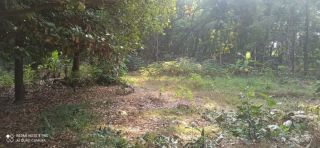 Residential Plot at Puthiyedom for Sale