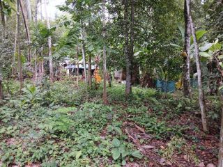 RESIDENTIAL LAND FOR SALE
