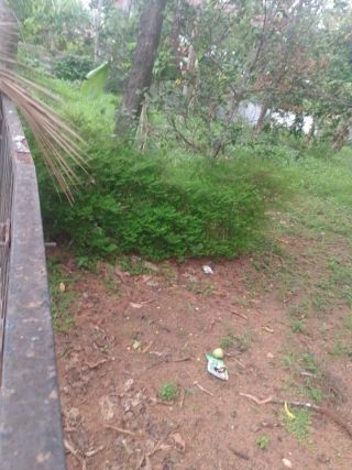 Residential land-45 cents for sale in Kuttur Center, Thrissur.