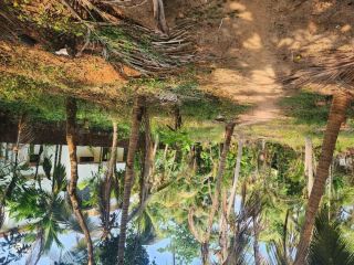 22 Cent Residential Land for Sale Near Andaloor Paalam, Thalassery
