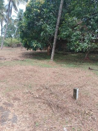 Kaiparamb Residential Plots For sale Real Estate Thrissur