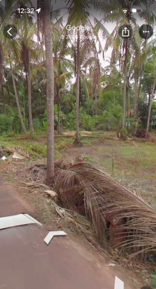 35 Cent Land for sale in Payyanore, Kerala