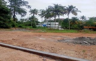 PLOTS FOR SALE IN PALLIPURAM, TRIVANDRUM