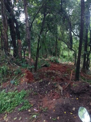 Good plot for buliding house or cottage