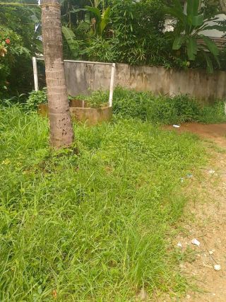 Prime Residential Plot-11.5 cents for Sale in Cheroor, Thrissur | Real Estate Thrissur