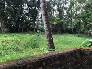 Residential land for sale in kollam ,chavara