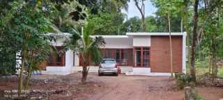 House with Plot and a couple of good old valuables Trees