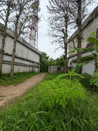 Commercial Land for Sale in Olari, Chettupuzha, Thrissur