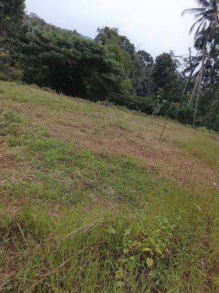 20 Cent plot for sale in cherupuzha town
